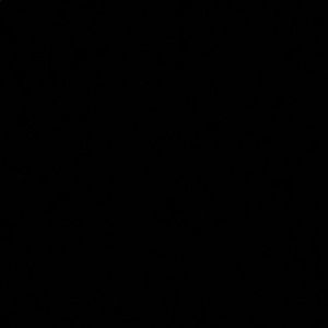 Meet your Posher, Alejandro